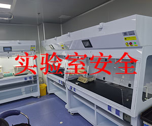 無管道凈氣型通風(fēng)柜是否真的安全無憂？